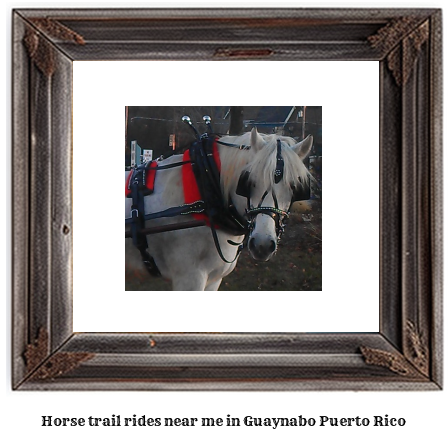 horse trail rides near me in Guaynabo, Puerto Rico